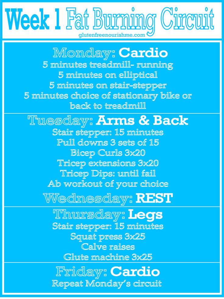 Female Gym Workout Plan for Weight Loss Beginners