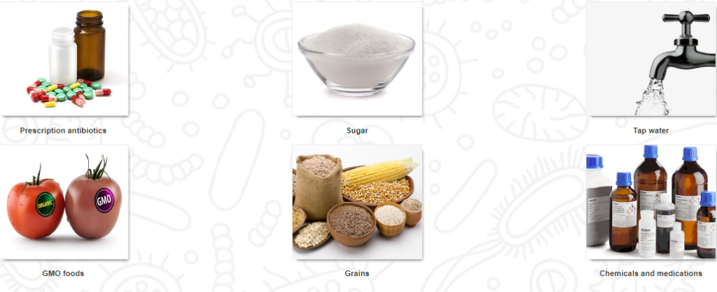Screenshot 26