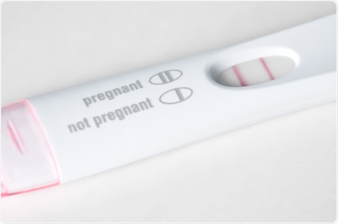 Cryptic Pregnancy Ultrasound