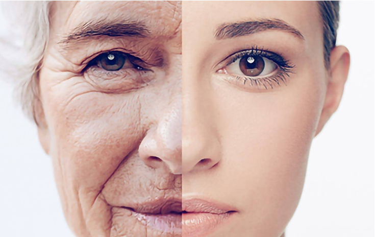 The Ultimate Guide to the Best Anti-Aging Supplements for Men and Women 1 Screenshot 7