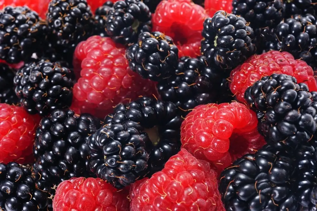 Effective Diabetes Management Plan
