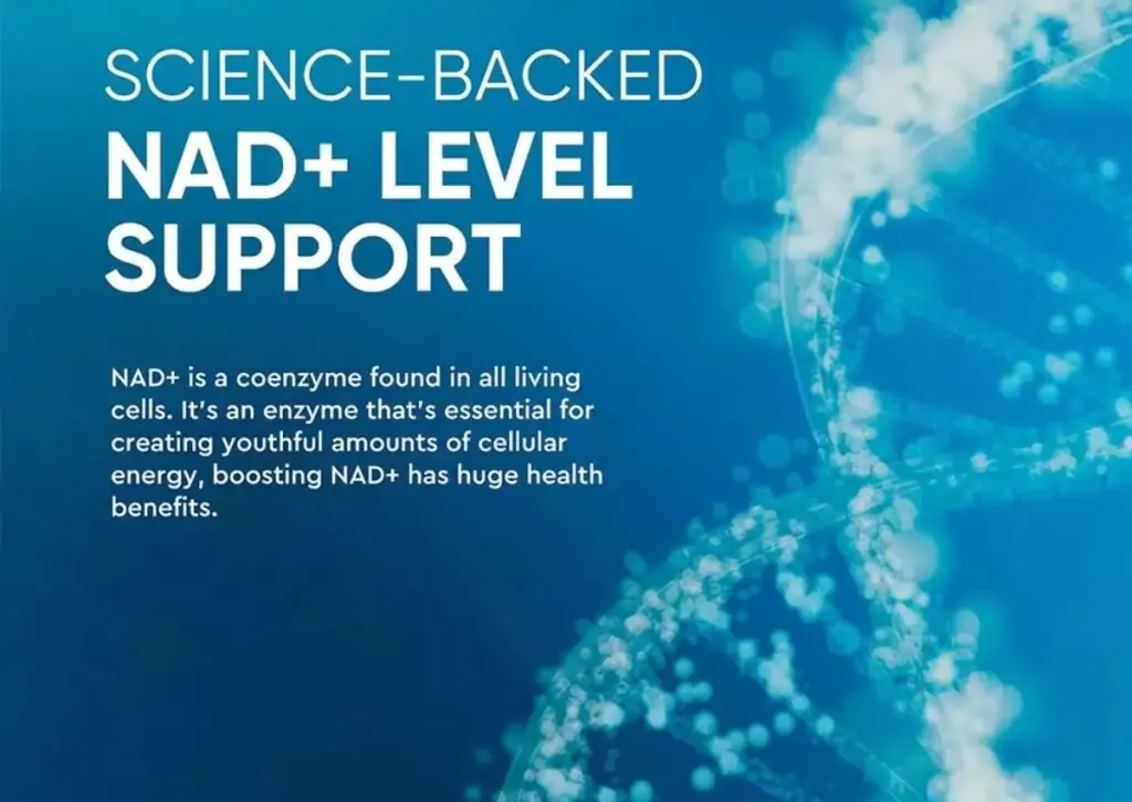 NAD Supplements Review