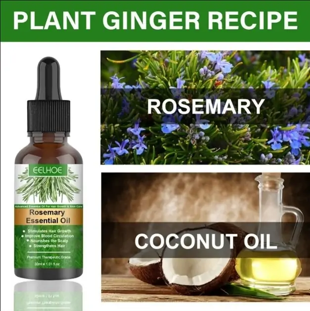 Rosemary Essential Hair Growth Oils Review