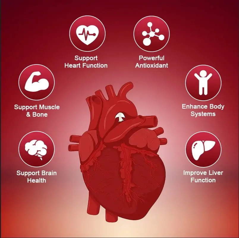 Organic Q10 Coenzyme 400mg Review