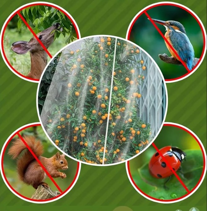 Zippered Garden Netting: Ultimate Plant Protection 11 Zippered Garden Netting