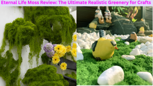 Eternal Life Moss Review