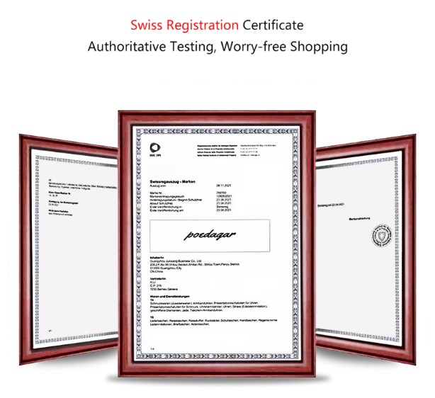 Top 5 Luxury Women's Watches: Why POEDAGAR 780-BU1 Leads the Pack 11 Top 5 Luxury Women's Watches