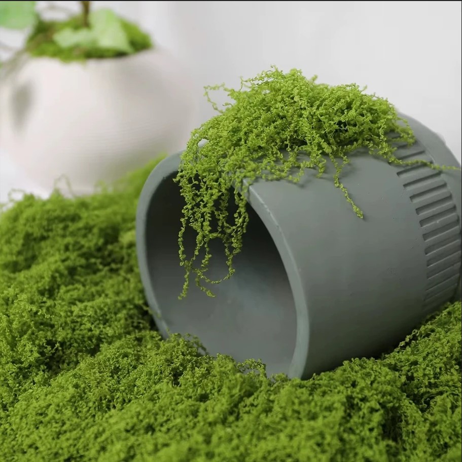 Eternal Life Moss Review: The Ultimate Realistic Greenery for Crafts 4 Eternal Life Moss Review