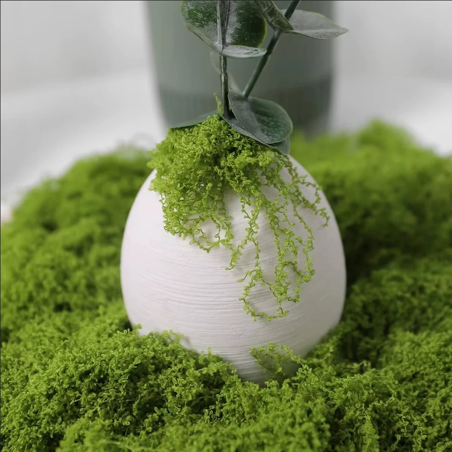 Eternal Life Moss Review: The Ultimate Realistic Greenery for Crafts 5 Eternal Life Moss Review