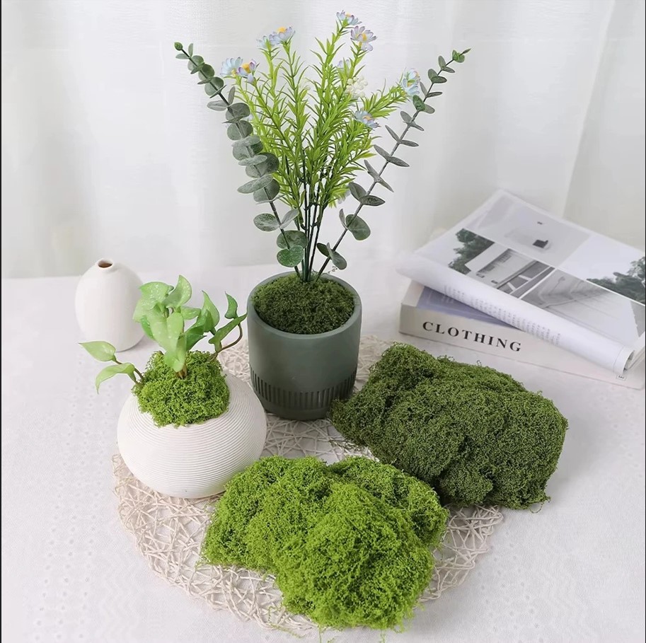 Eternal Life Moss Review: The Ultimate Realistic Greenery for Crafts 1 Eternal Life Moss Review
