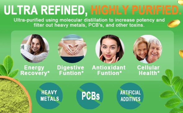 Moringa Supplement Review