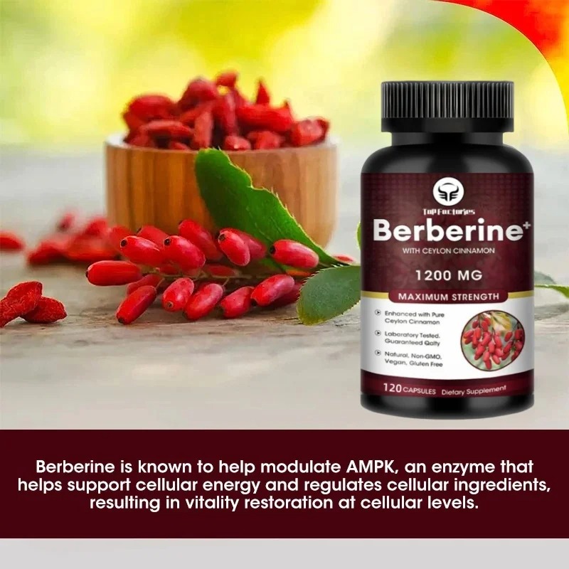 Berberine Capsules 1200mg – Expert Review for Heart & Gut Health 3 Berberine Capsules 1200mg